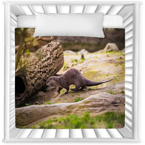  Otter Standing On A Rock With Prey In The Teeth Nursery Decor 100527887
