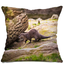  Otter Standing On A Rock With Prey In The Teeth Pillows 100527887