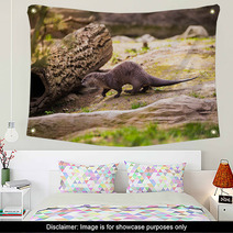  Otter Standing On A Rock With Prey In The Teeth Wall Art 100527887
