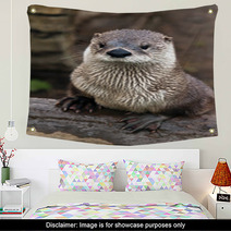 Otter Wall Art 59896629