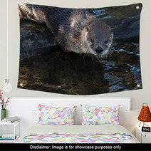 Otter Wall Art 62531276