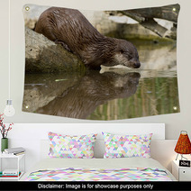 Otter Wall Art 64640072