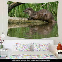 Otter Wall Art 64640987
