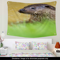 Otter Wall Art 65293748
