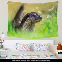 Otter Wall Art 65293860