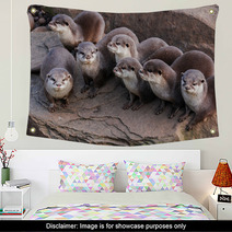 Otter Wall Art 90144245