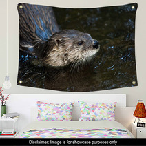 Otter Wall Art 91770798