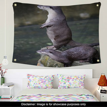 Otter  Wall Art 92516460