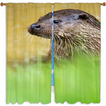Otter Window Curtains 65293748