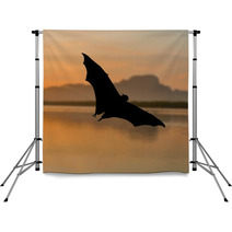 Outdoor Bat Silhouette Flying At Sunset Backdrops 90186792