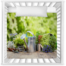 Outdoor Gardening Tools And Flowers Nursery Decor 67904933
