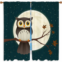 Owl At Night Window Curtains 68140955