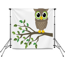 Owl Cartoon Backdrops 53115571