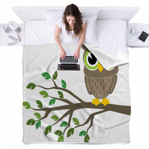 Owl Cartoon Blankets 53115571