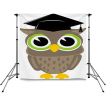 Owl Cartoon Graduation Backdrops 53115667