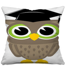 Owl Cartoon Graduation Pillows 53115667