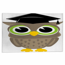 Owl Cartoon Graduation Rugs 53115667