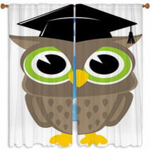 Owl Cartoon Graduation Window Curtains 53115667