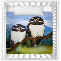 Owls  On Tree Nursery Decor 67655827