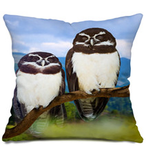 Owls  On Tree Pillows 67655827