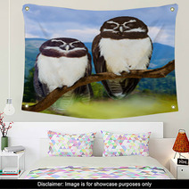 Owls  On Tree Wall Art 67655827