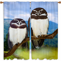Owls  On Tree Window Curtains 67655827