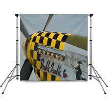 P-51 Mustang Nose Art Backdrops 673595
