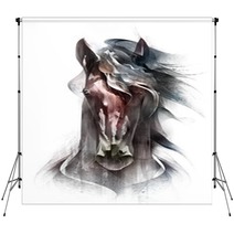 Painted Colored Horse Portrait Isolated In Front Backdrops 217580520