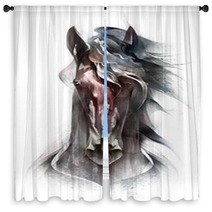 Painted Colored Horse Portrait Isolated In Front Window Curtains 217580520