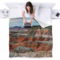 Painted Desert, Petrified Forest National Park Blankets 62144910