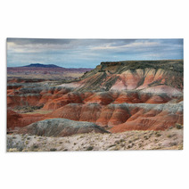 Painted Desert, Petrified Forest National Park Rugs 62144910