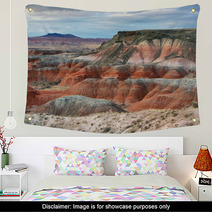Painted Desert, Petrified Forest National Park Wall Art 62144910