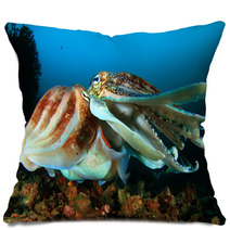 Pair Of Cuttlefish Mating Pillows 76605246