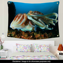 Pair Of Cuttlefish Mating Wall Art 76605246