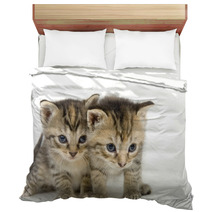 Pair Of Kittens On White Backgroun Bedding 3267686
