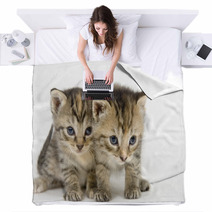 Pair Of Kittens On White Backgroun Blankets 3267686