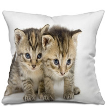 Pair Of Kittens On White Backgroun Pillows 3267686