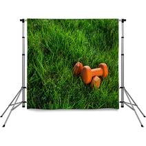 Pair Of Orange Dumbbells On Grass In Warm Morning Light Fitnes Backdrops 110251860