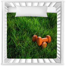 Pair Of Orange Dumbbells On Grass In Warm Morning Light Fitnes Nursery Decor 110251860
