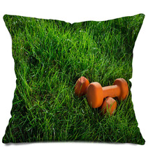 Pair Of Orange Dumbbells On Grass In Warm Morning Light Fitnes Pillows 110251860
