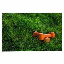 Pair Of Orange Dumbbells On Grass In Warm Morning Light Fitnes Rugs 110251860