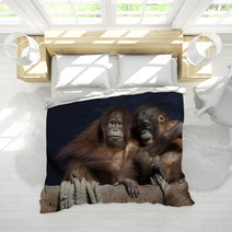 Pair of orangutans 1 Bedding 95631948
