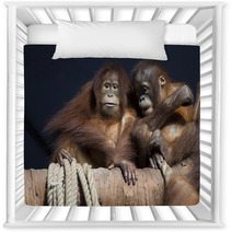 Pair of orangutans 1 Nursery Decor 95631948