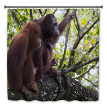 Pair of orangutans Bath Decor 93527030