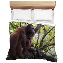 Pair of orangutans Bedding 93527030