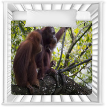 Pair of orangutans Nursery Decor 93527030