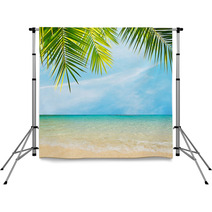 Palm By The Sea Backdrops 67552335