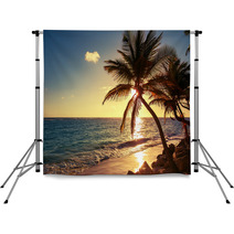 Palm Tree On The Tropical Beach Backdrops 83274893
