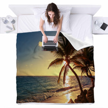 Palm Tree On The Tropical Beach Blankets 83274893