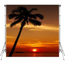 Palm Tree Silhouette At Sunset, Chang Island, Thailand Backdrops 70237827